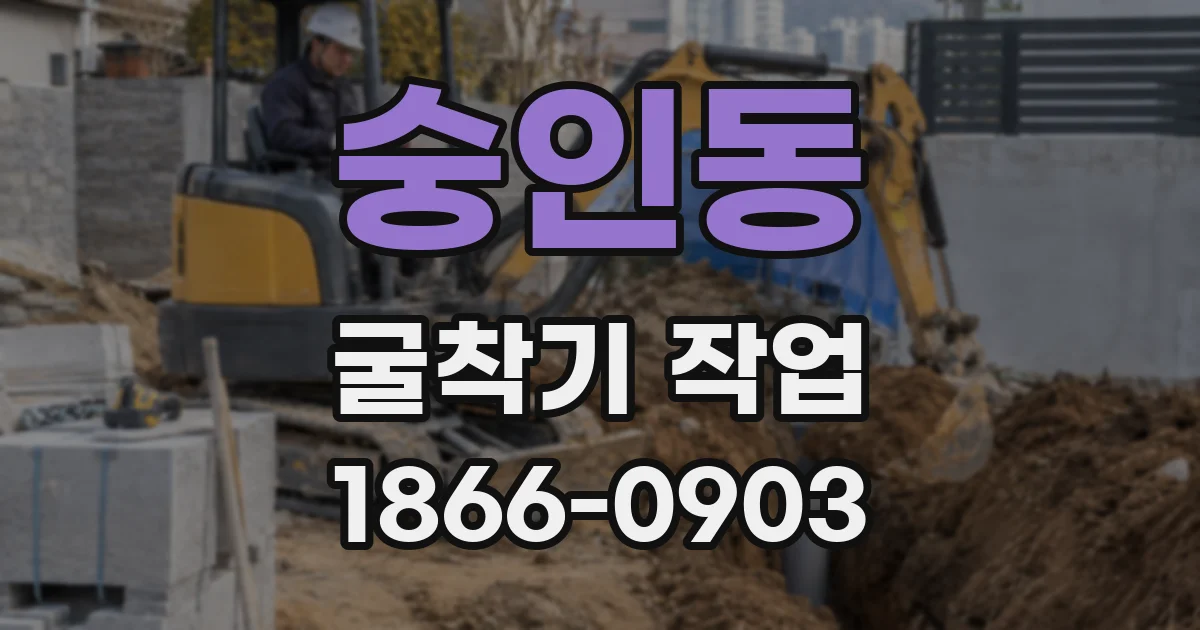 숭인동 굴착기 작업
