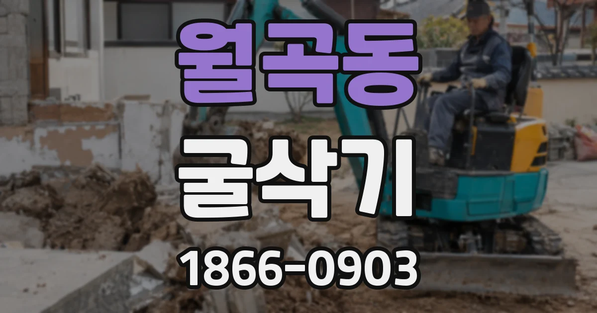 월곡동 굴삭기