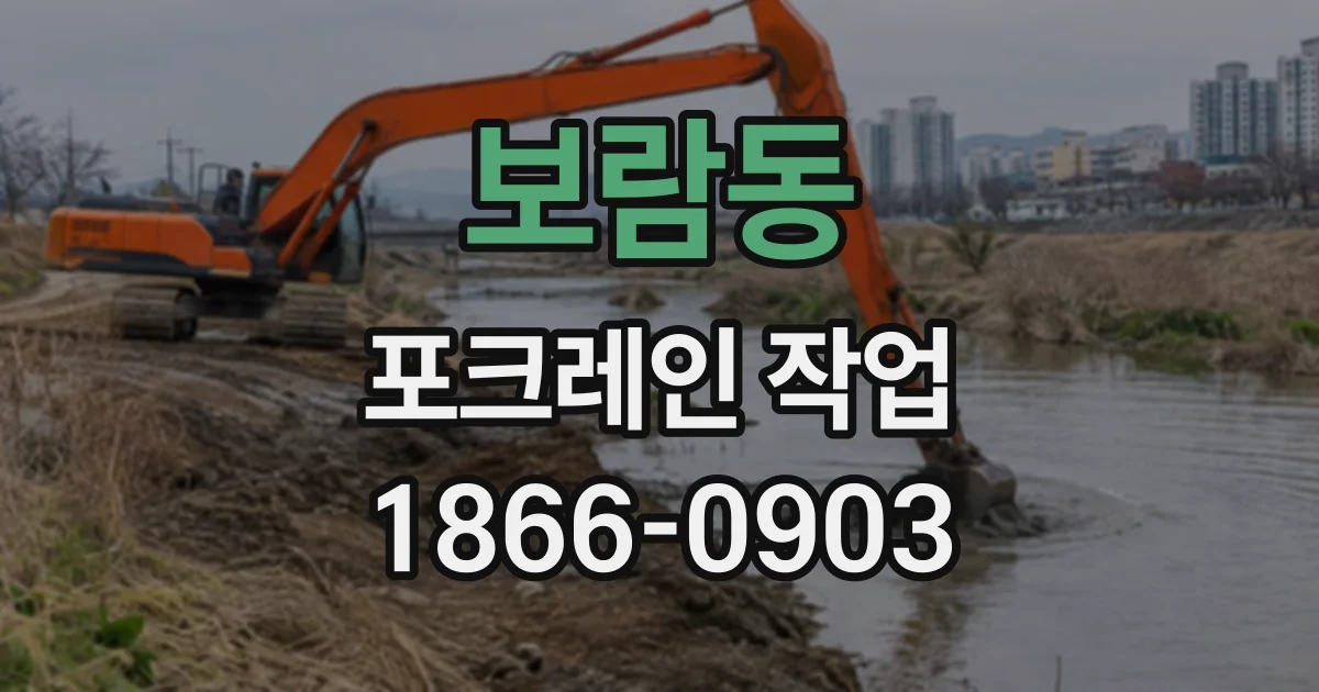 보람동 포크레인작업