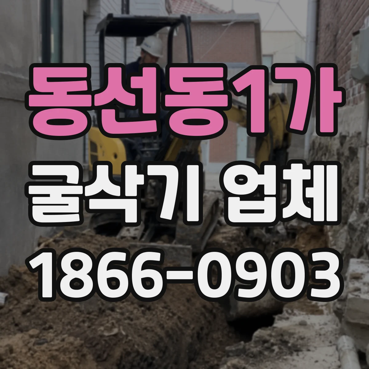 동선동1가 굴삭기 업체