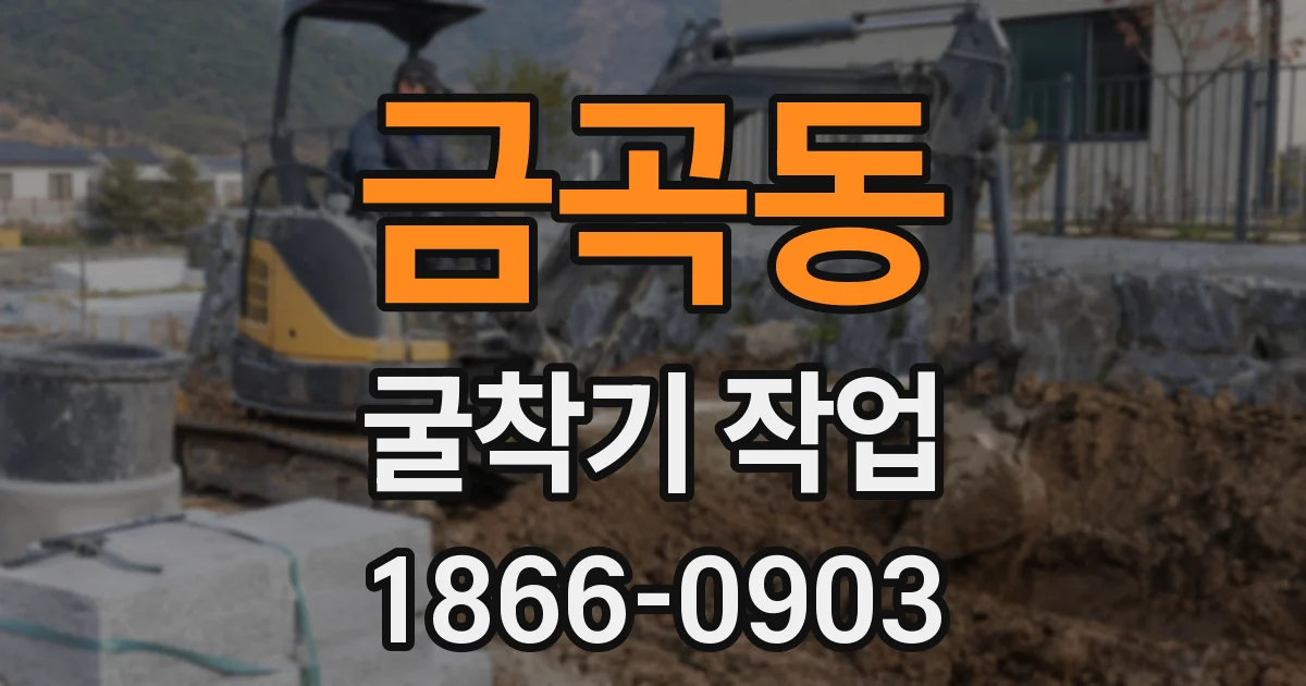 금곡동 굴착기 작업
