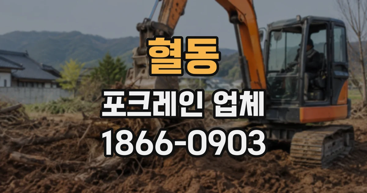 혈동 포크레인업체