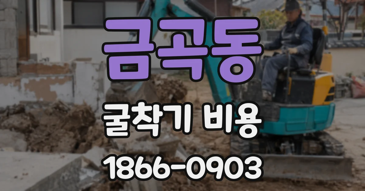 금곡동 굴착기 비용