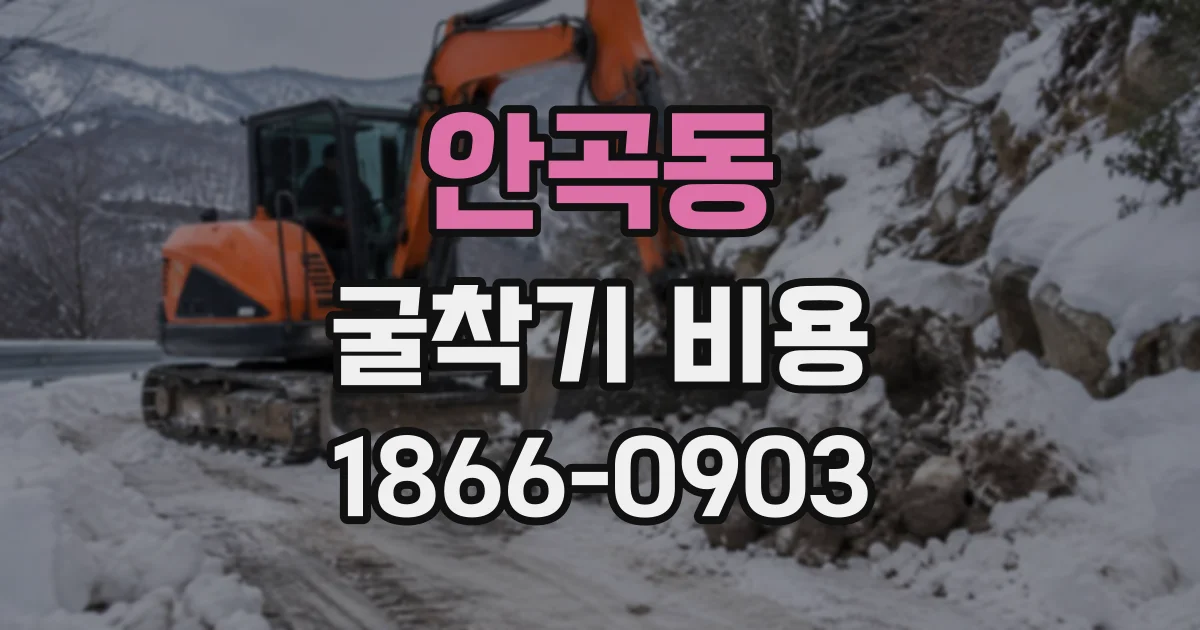 안곡동 굴착기비용