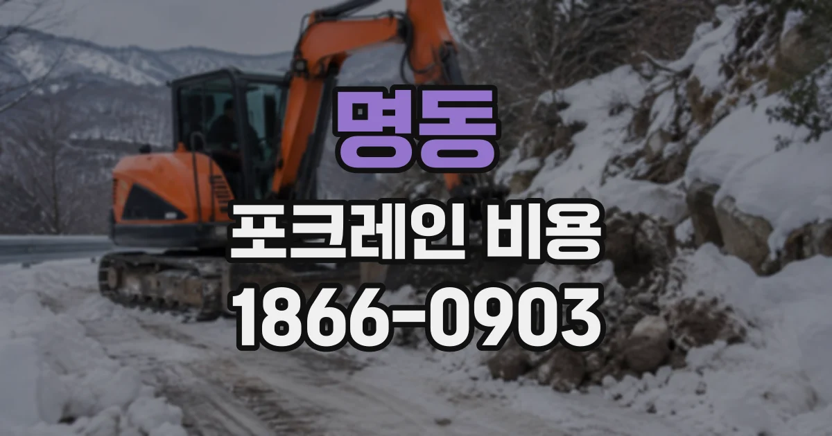 명동 포크레인비용
