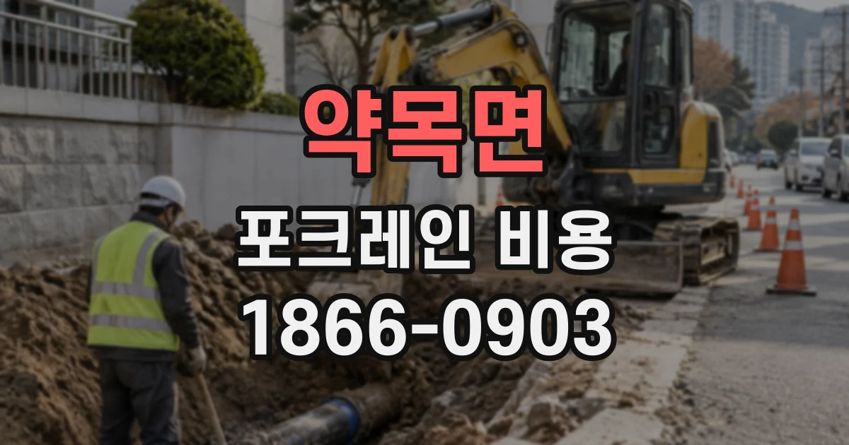 약목면 포크레인비용
