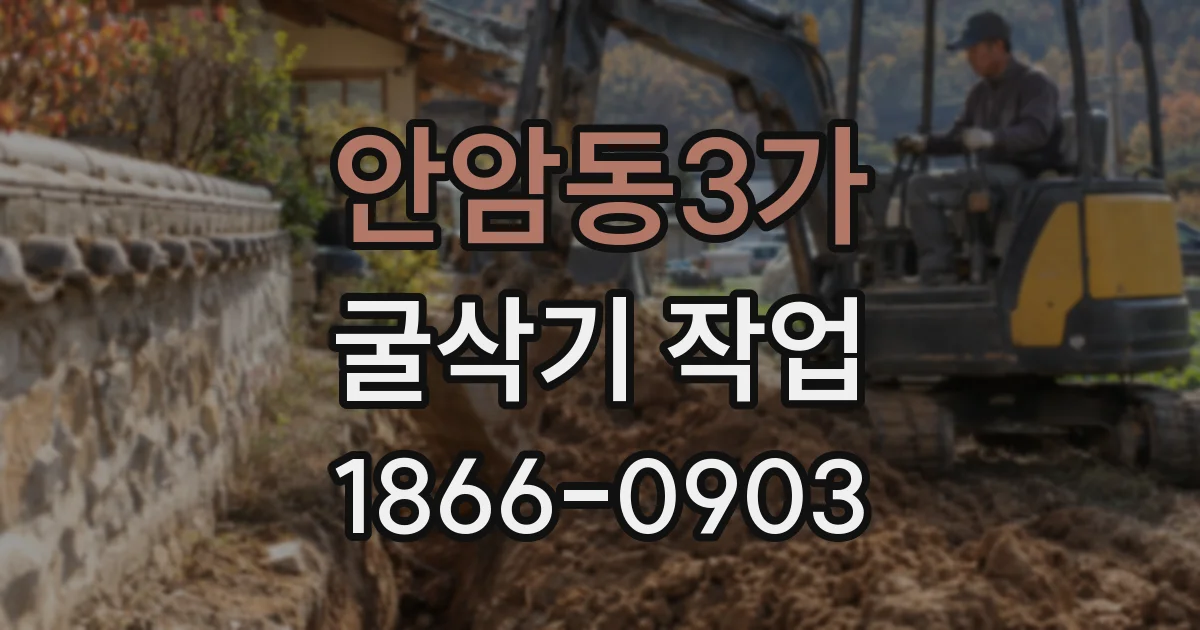 안암동3가 굴삭기 작업