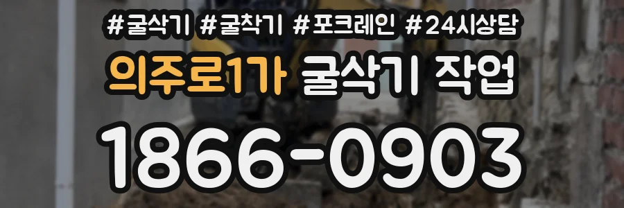 의주로1가 굴삭기 작업