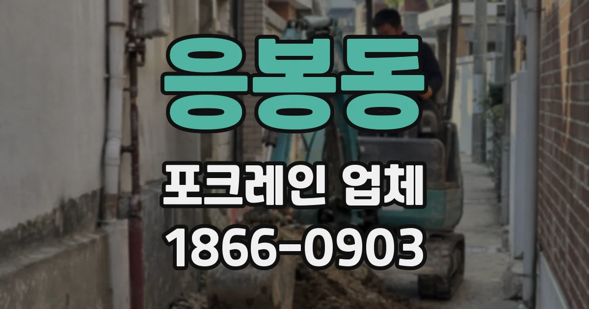 응봉동 포크레인 업체