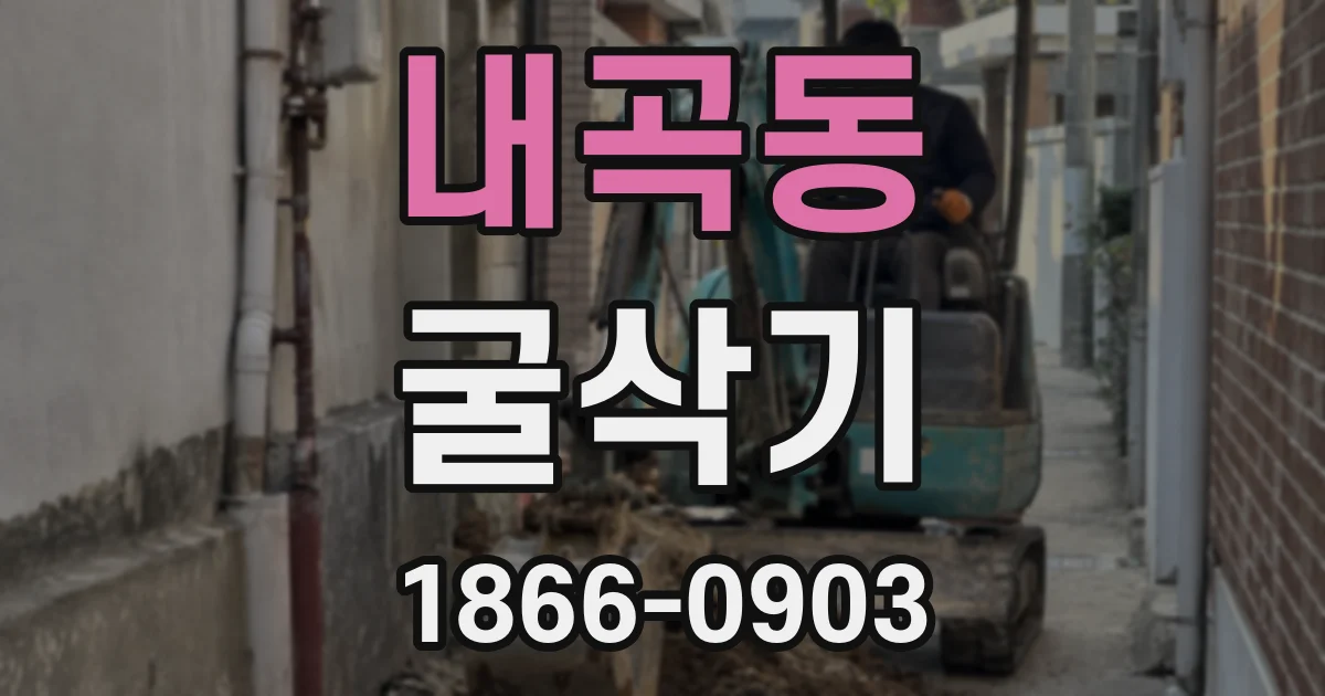 내곡동 굴삭기