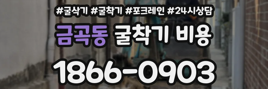 금곡동 굴착기 비용