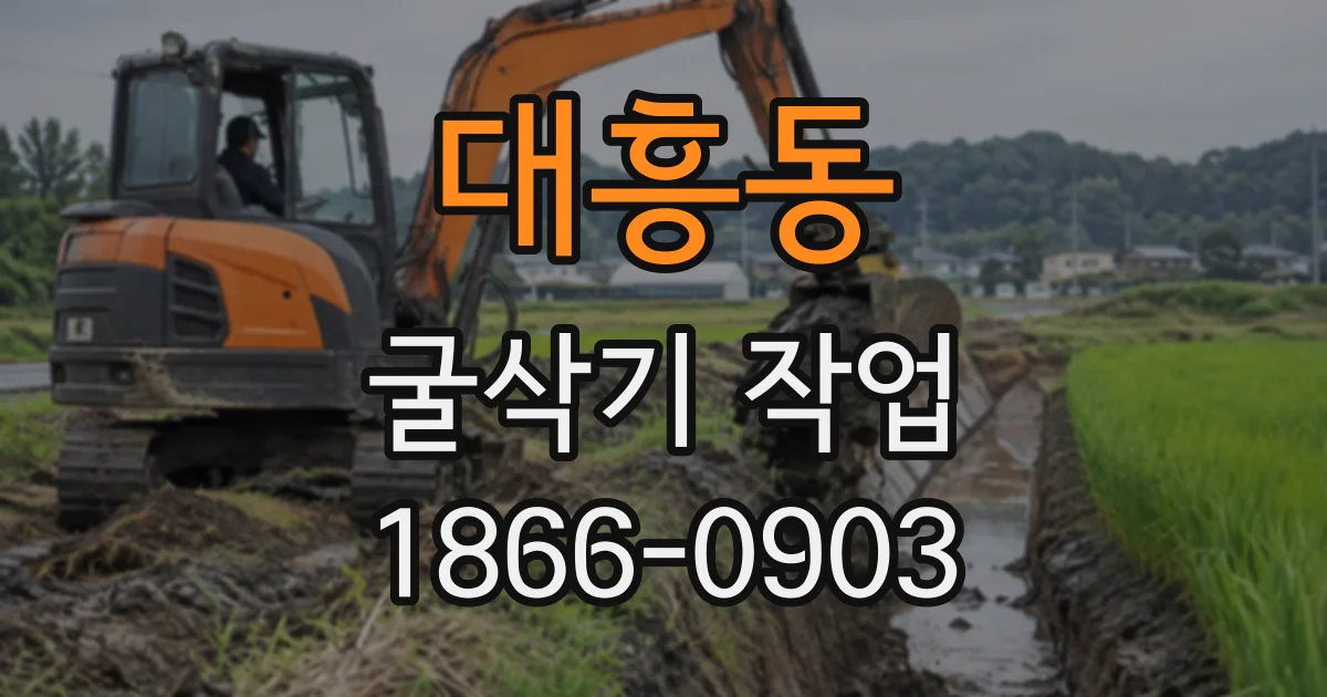 대흥동 굴삭기작업