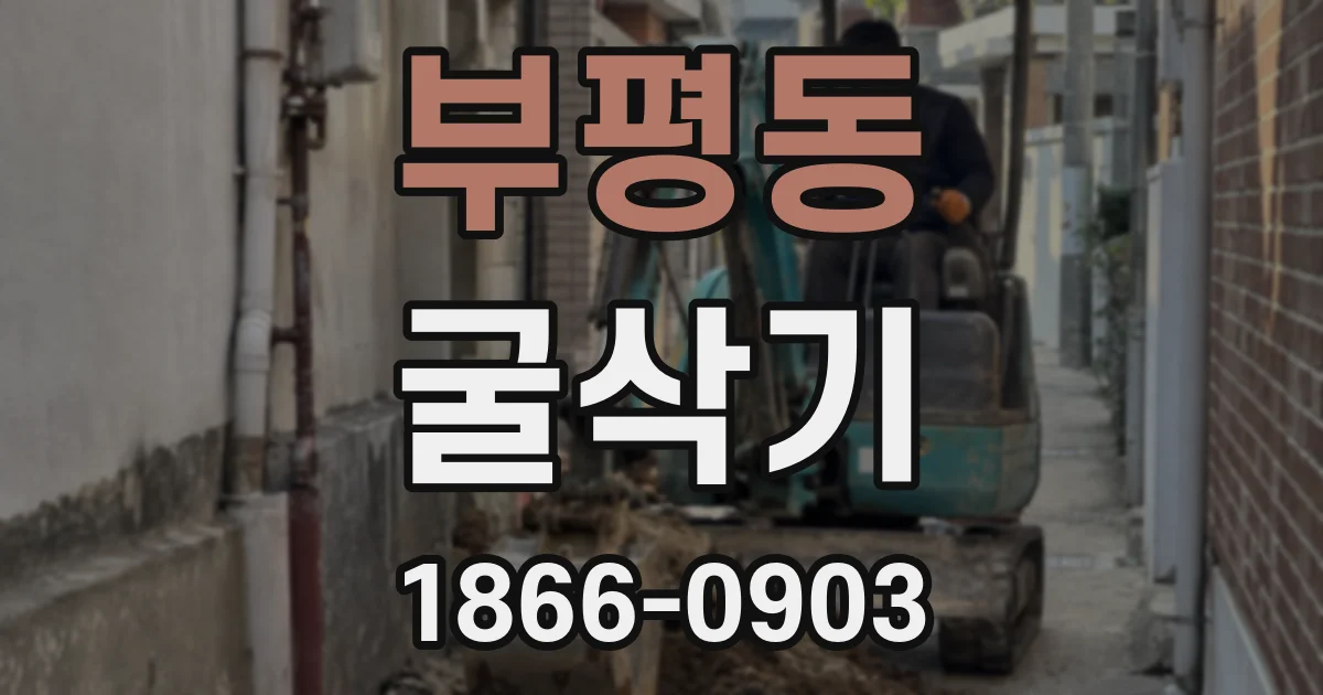 부평동 굴삭기