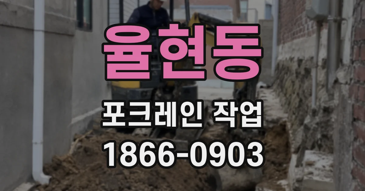 율현동 포크레인 작업