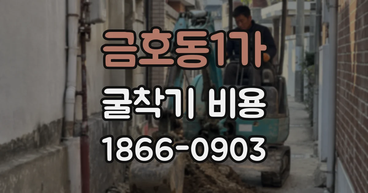 금호동1가 굴착기 비용