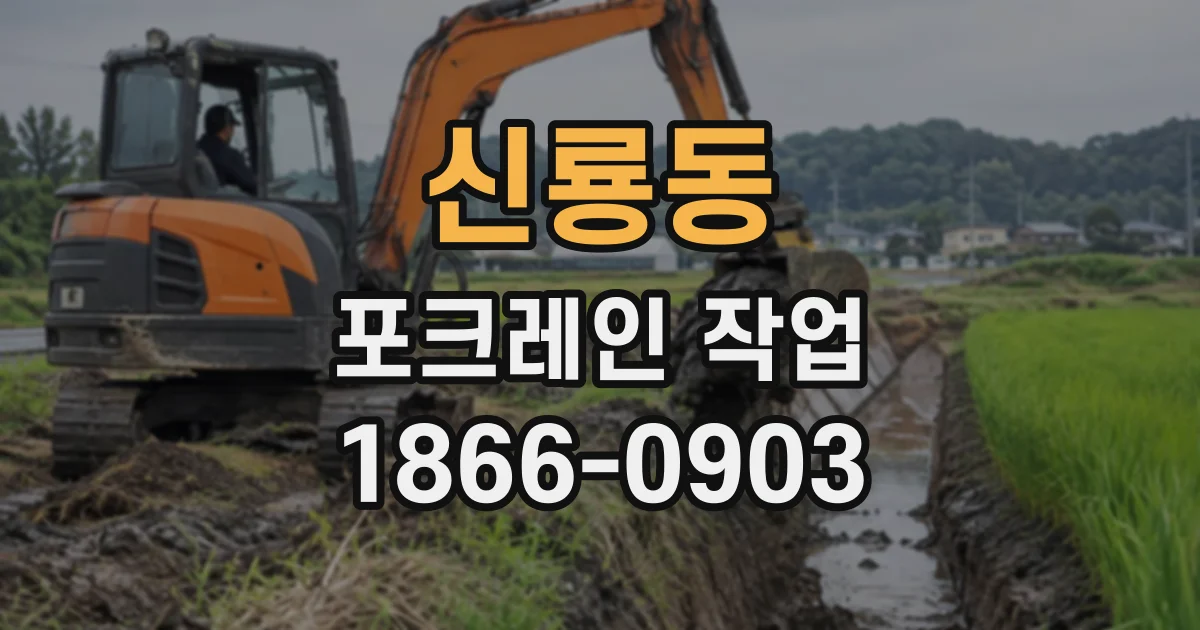 신룡동 포크레인작업
