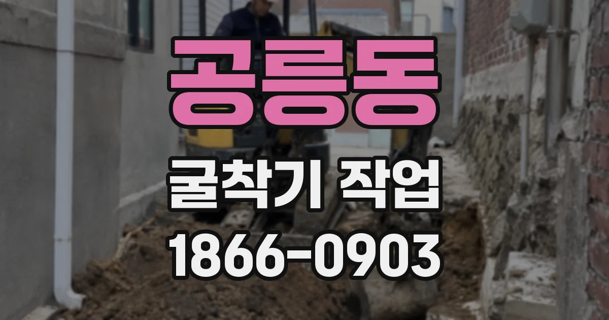 공릉동 굴착기 작업