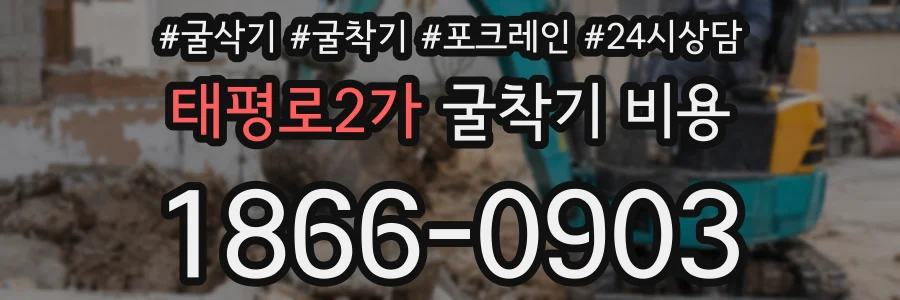 태평로2가 굴착기 비용