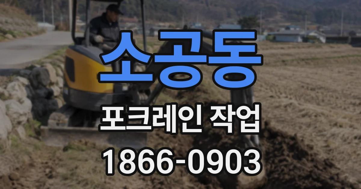 소공동 포크레인 작업