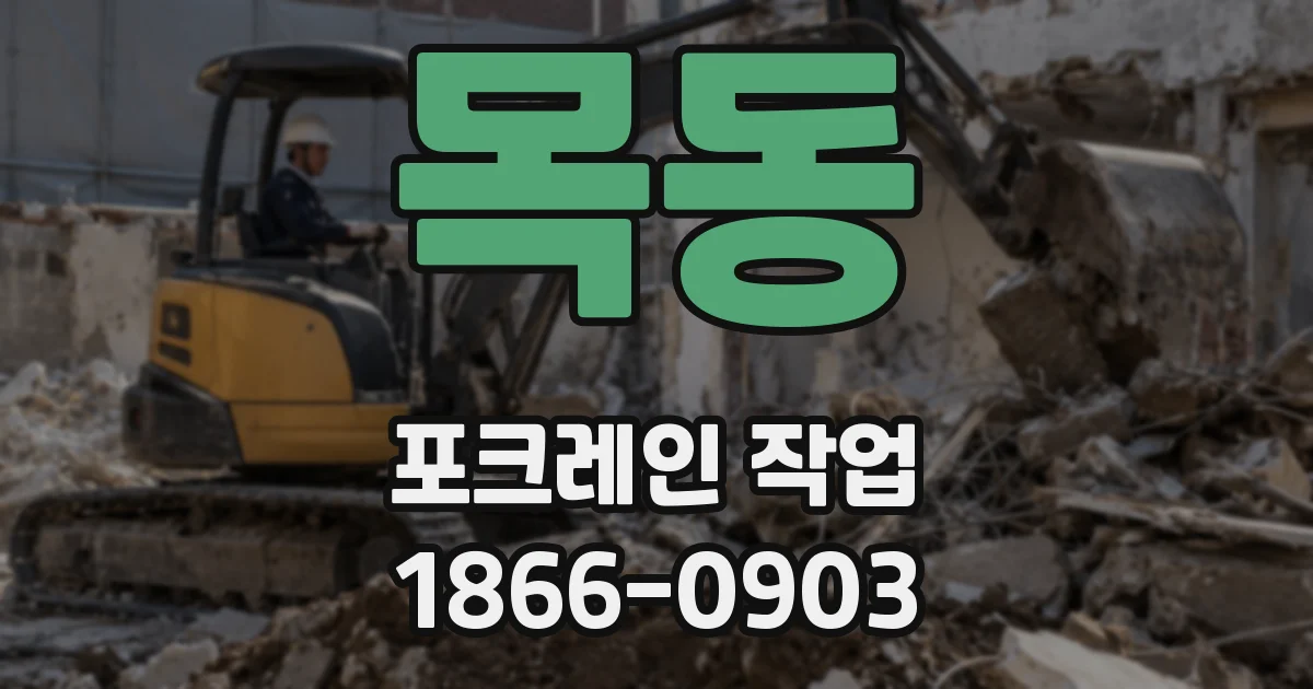 목동 포크레인 작업