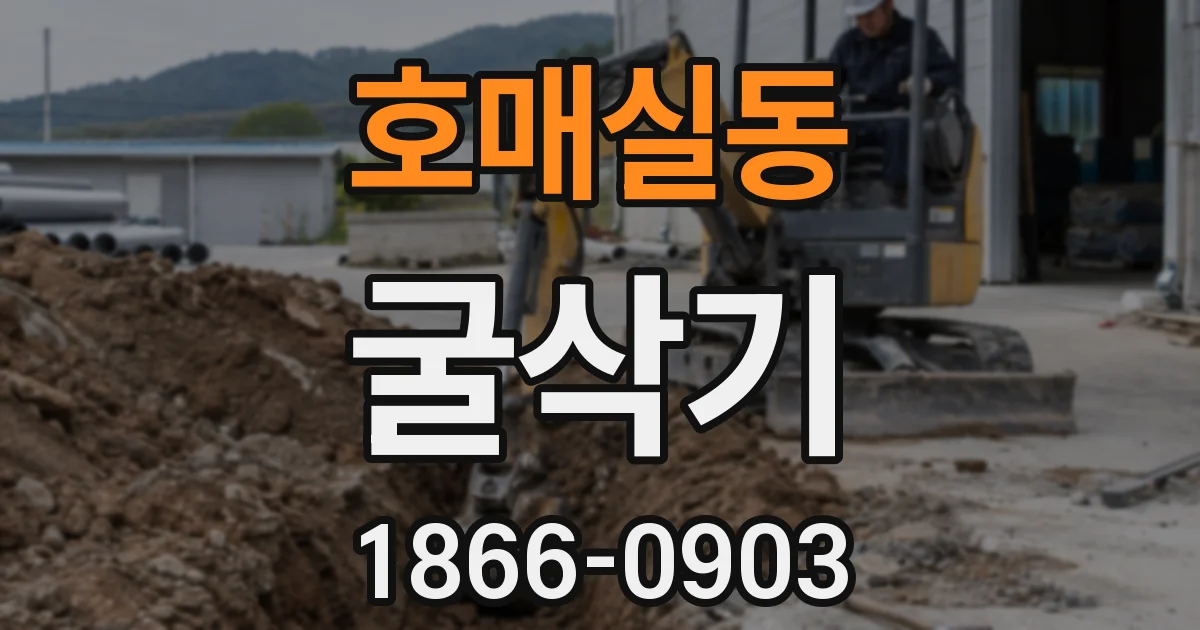호매실동 굴삭기