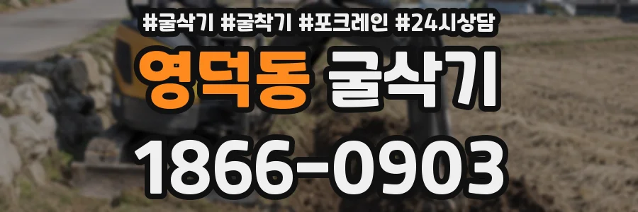 영덕동 굴삭기