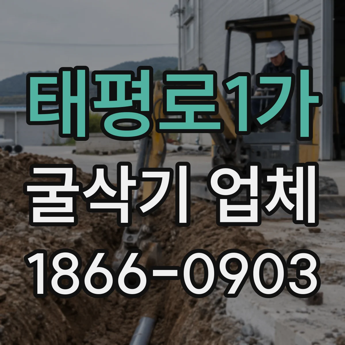 태평로1가 굴삭기 업체