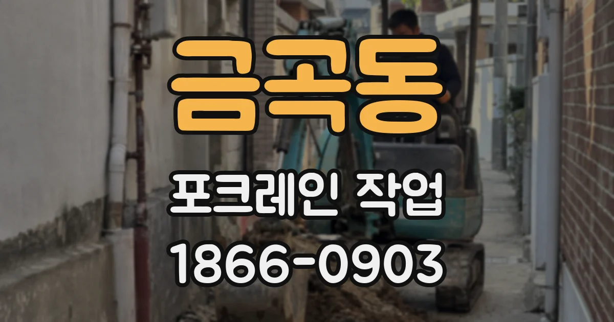 금곡동 포크레인 작업