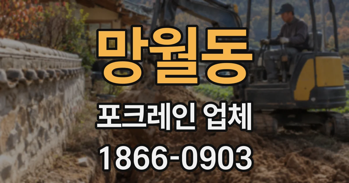 망월동 포크레인 업체