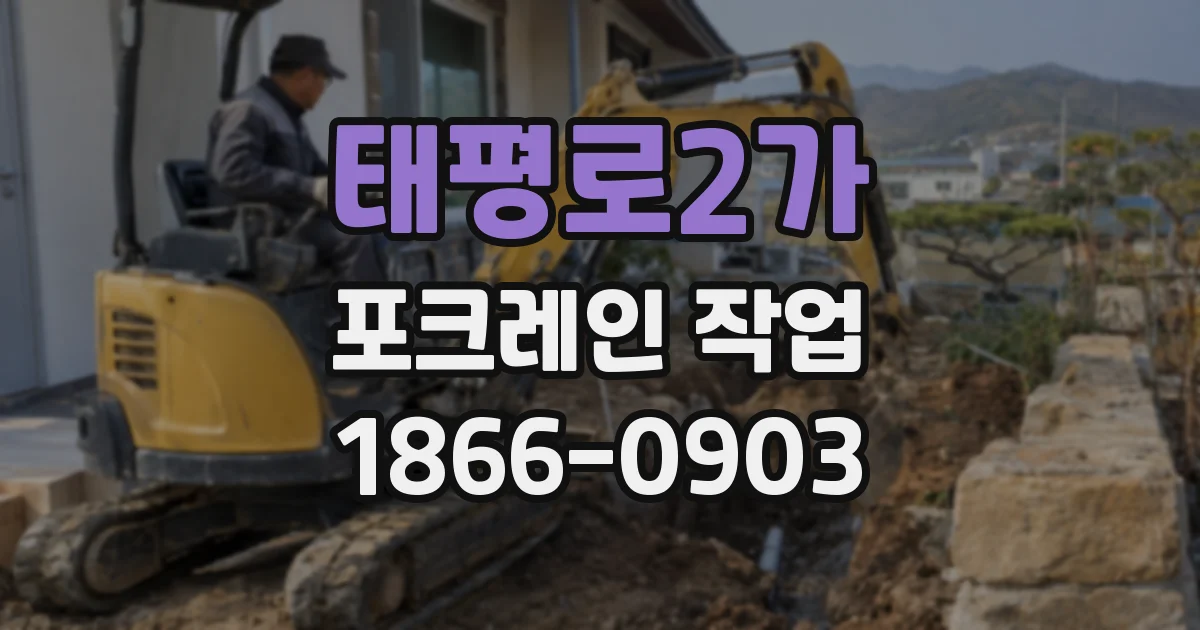 태평로2가 포크레인 작업