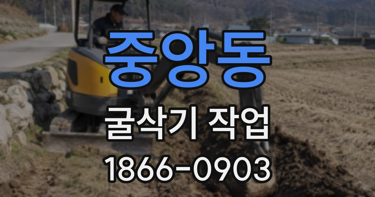 중앙동 굴삭기 작업