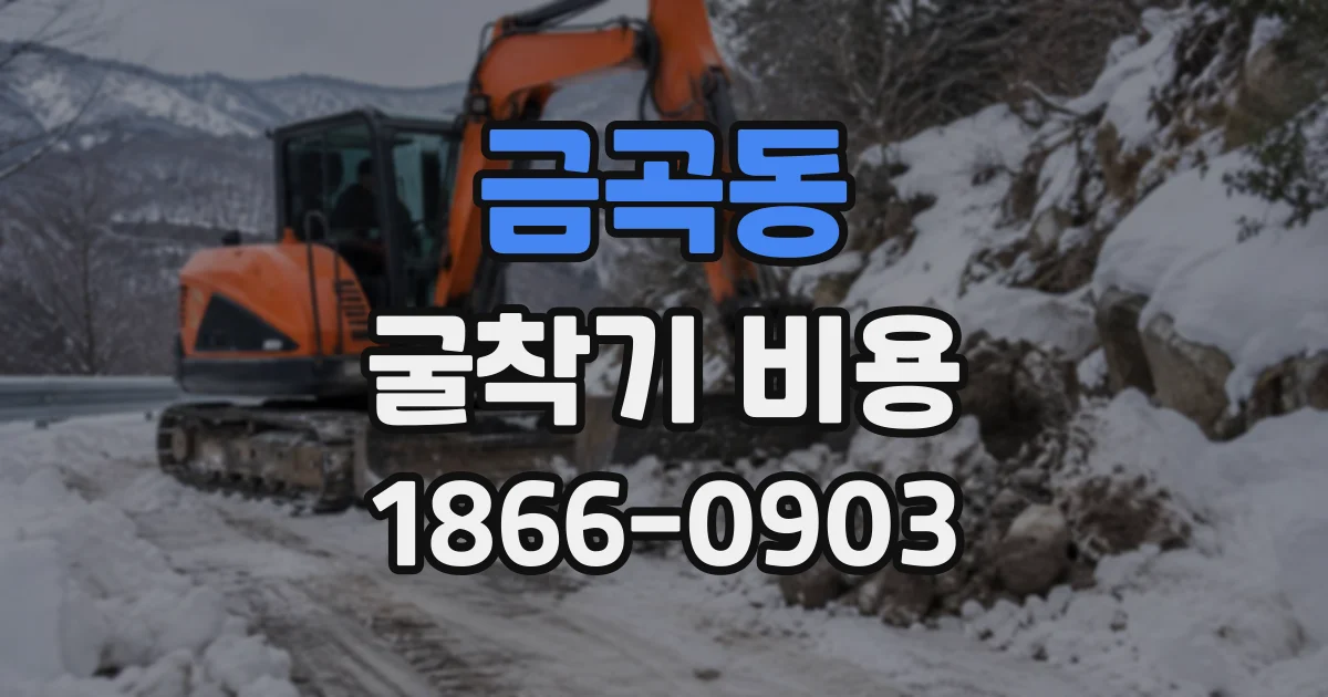 금곡동 굴착기비용