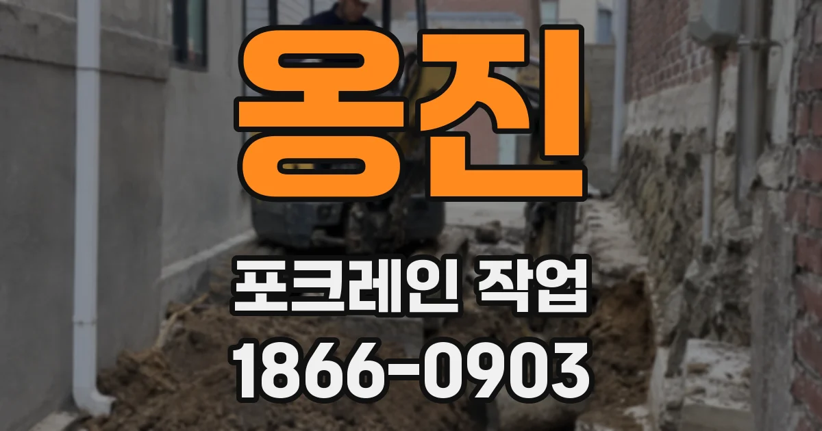 옹진 포크레인 작업