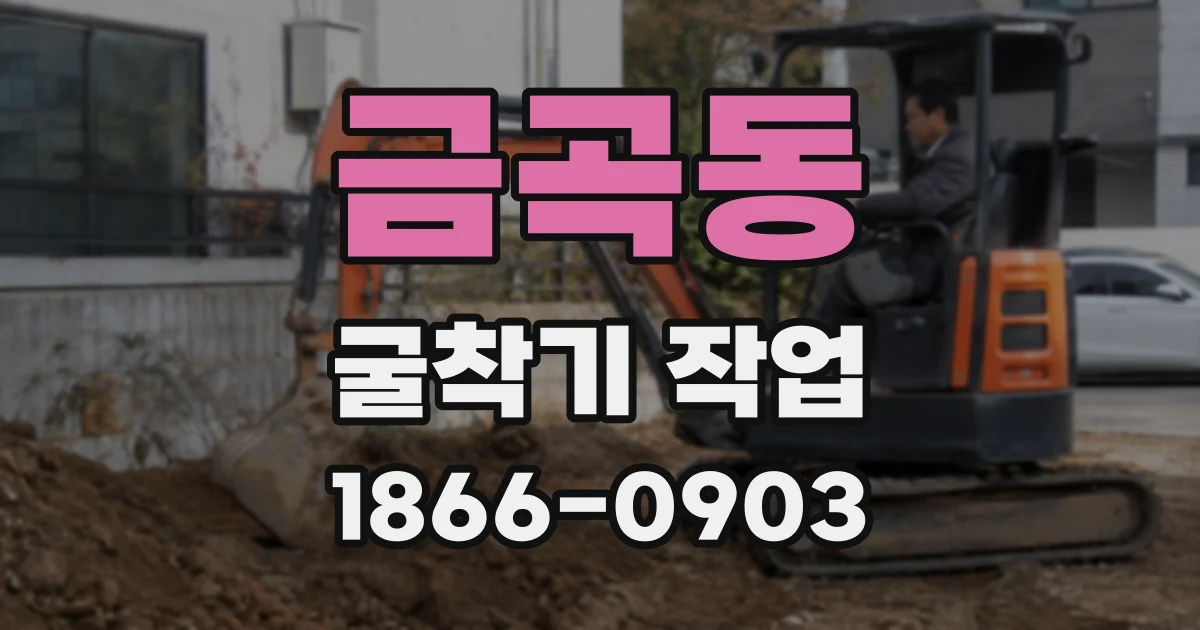 금곡동 굴착기 작업