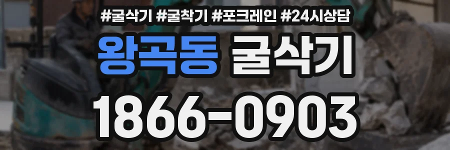 왕곡동 굴삭기