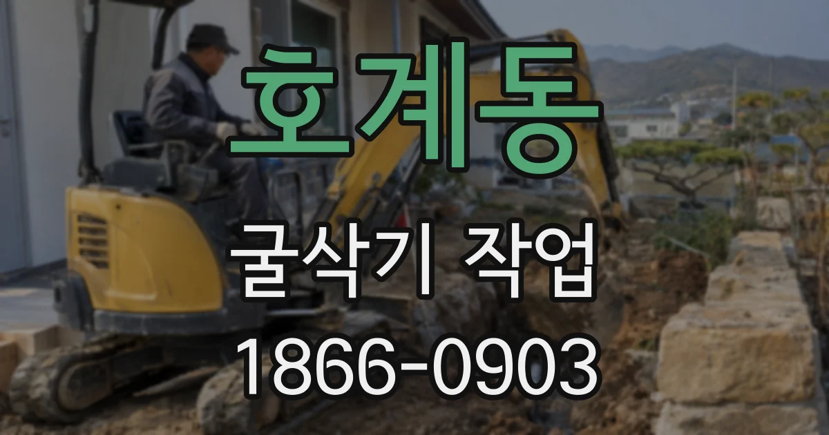 호계동 굴삭기 작업