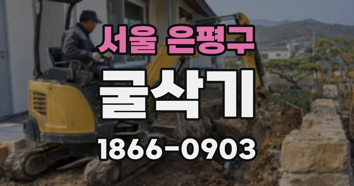 서울 은평구 굴삭기