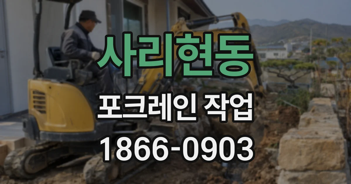 사리현동 포크레인 작업