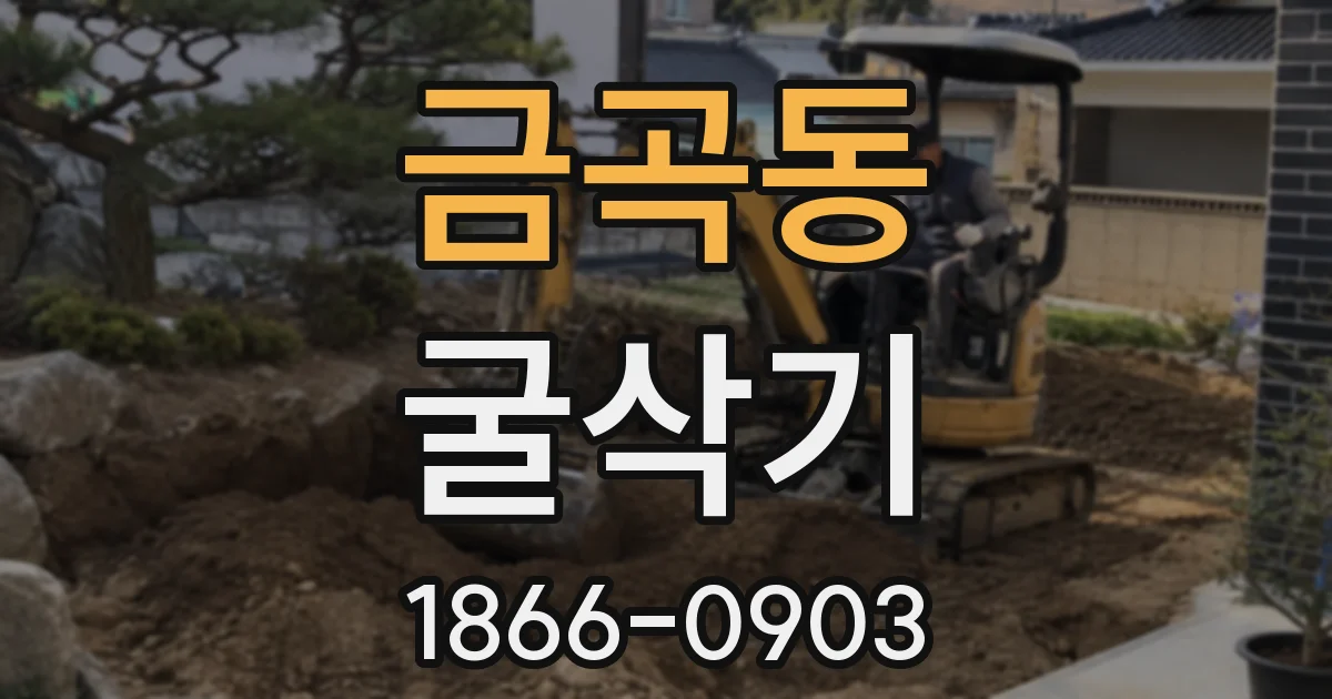 금곡동 굴삭기