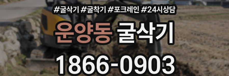 운양동 굴삭기
