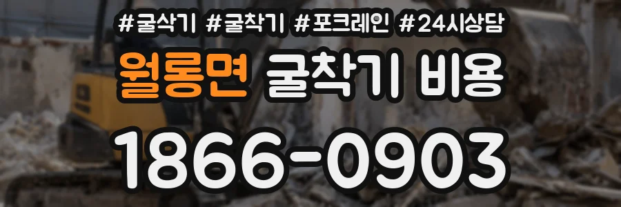 월롱면 굴착기 비용