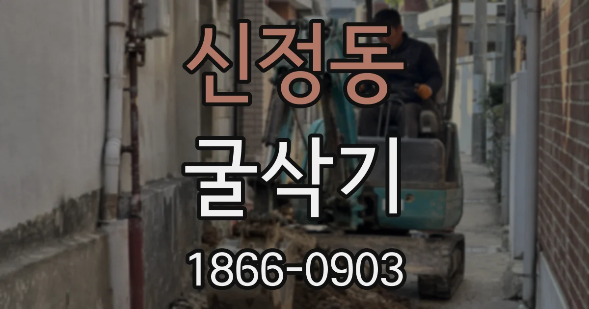 신정동 굴삭기