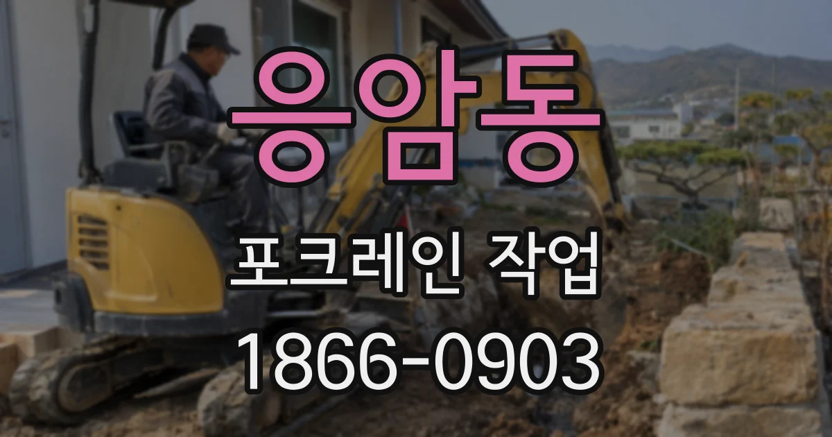 응암동 포크레인 작업