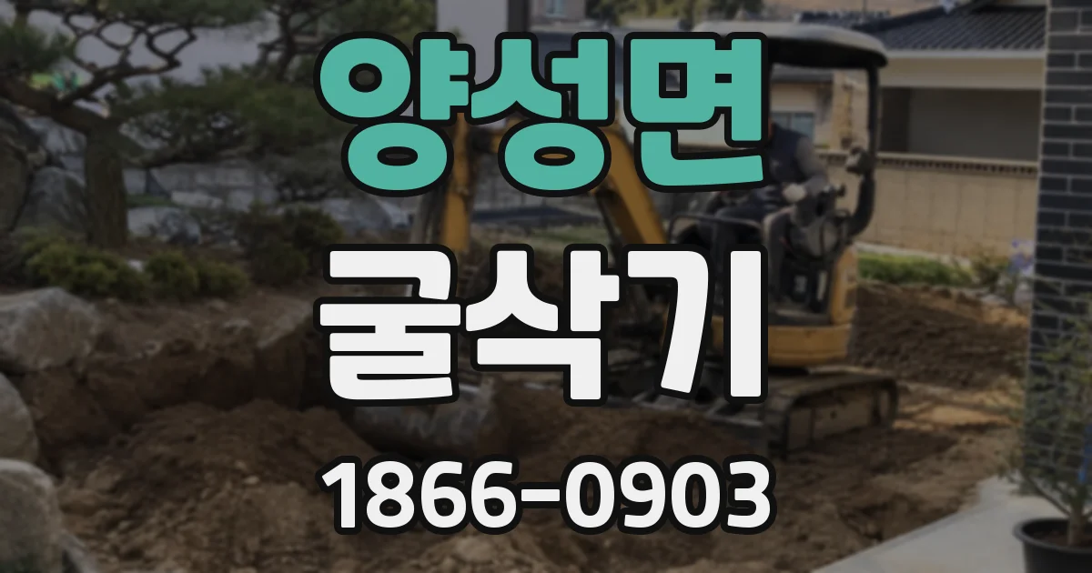 양성면 굴삭기