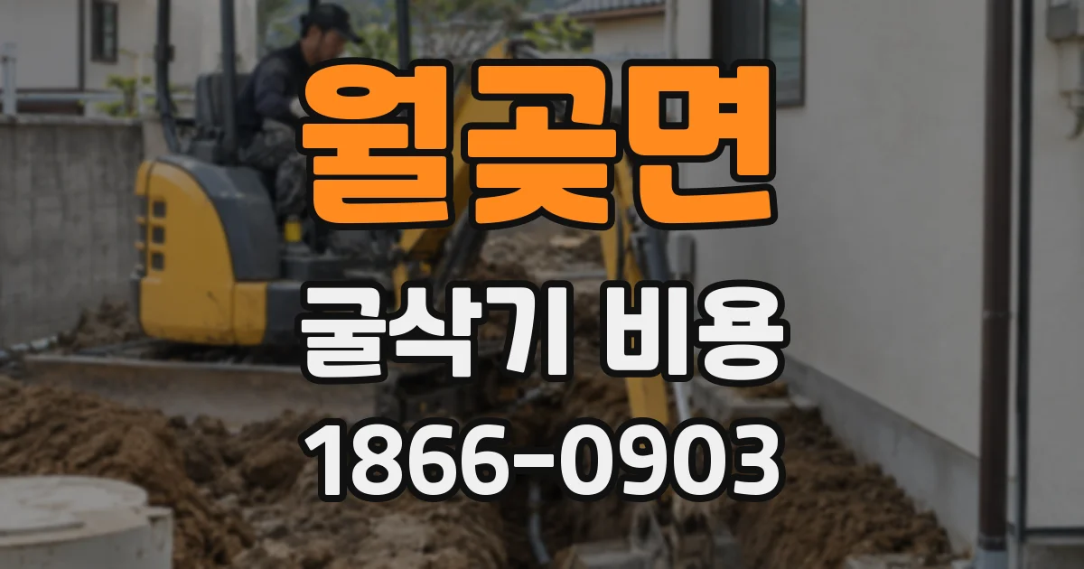 월곶면 굴삭기 비용