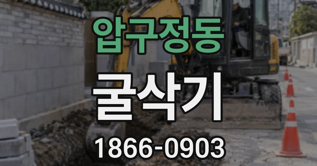 압구정동 굴삭기