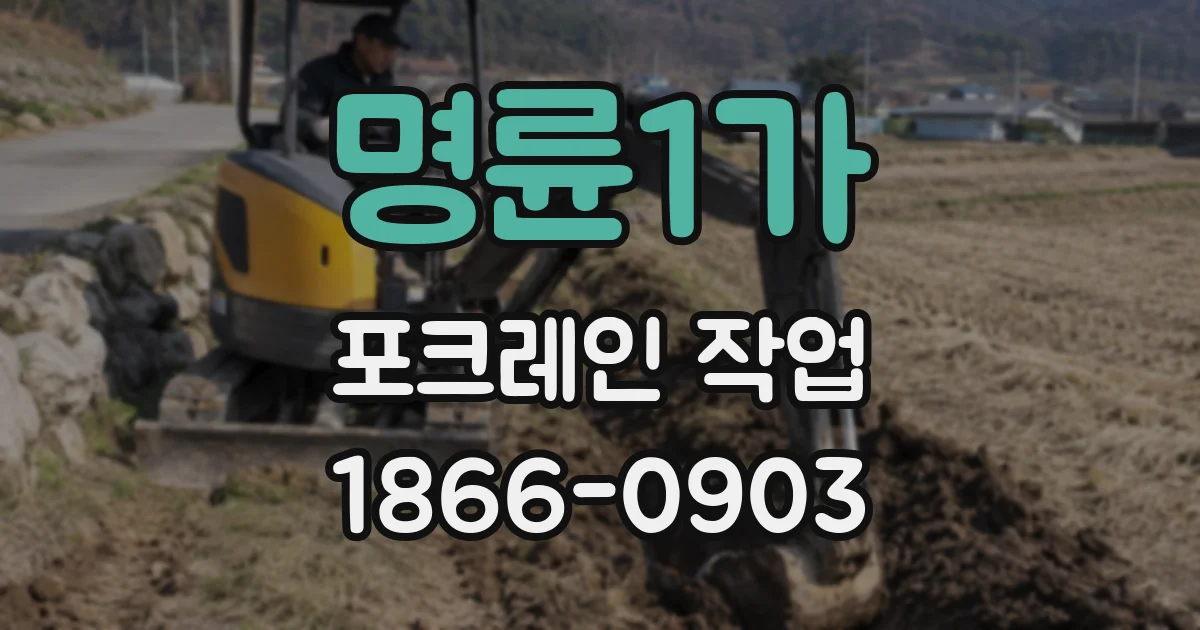 명륜1가 포크레인 작업