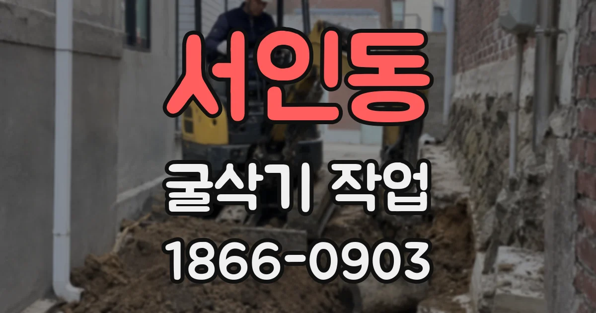 서인동 굴삭기 작업