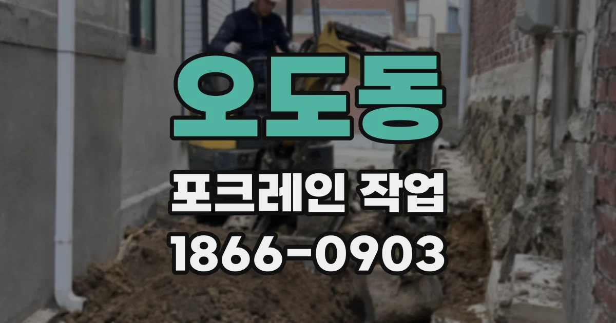 오도동 포크레인 작업