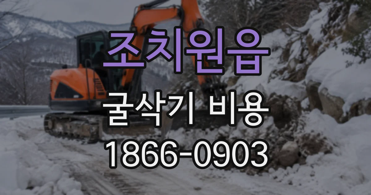 조치원읍 굴삭기비용